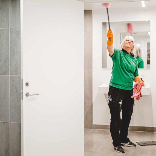 Hovedrengøring på et toilet